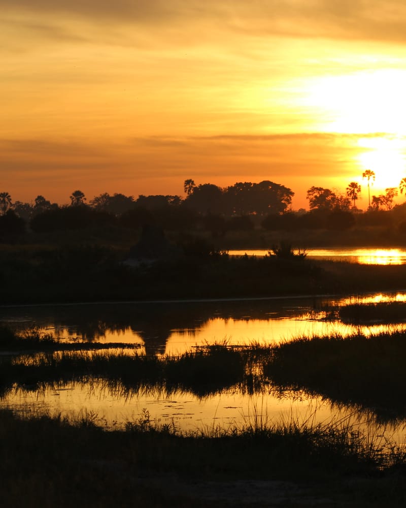 Botswana: Delta und Elefanten