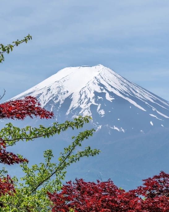 Japan: Tempel und Shinkansen