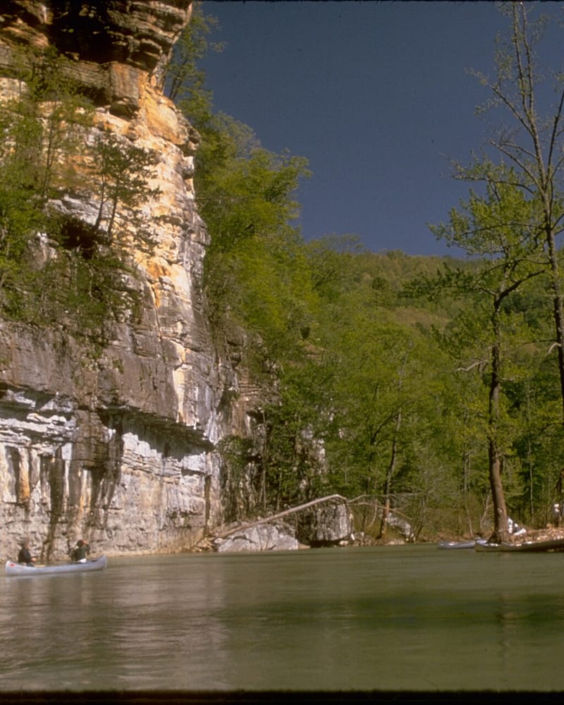 Arkansas: El estado natural