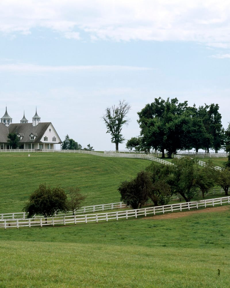 Kentucky: Bourbon y bluegrass