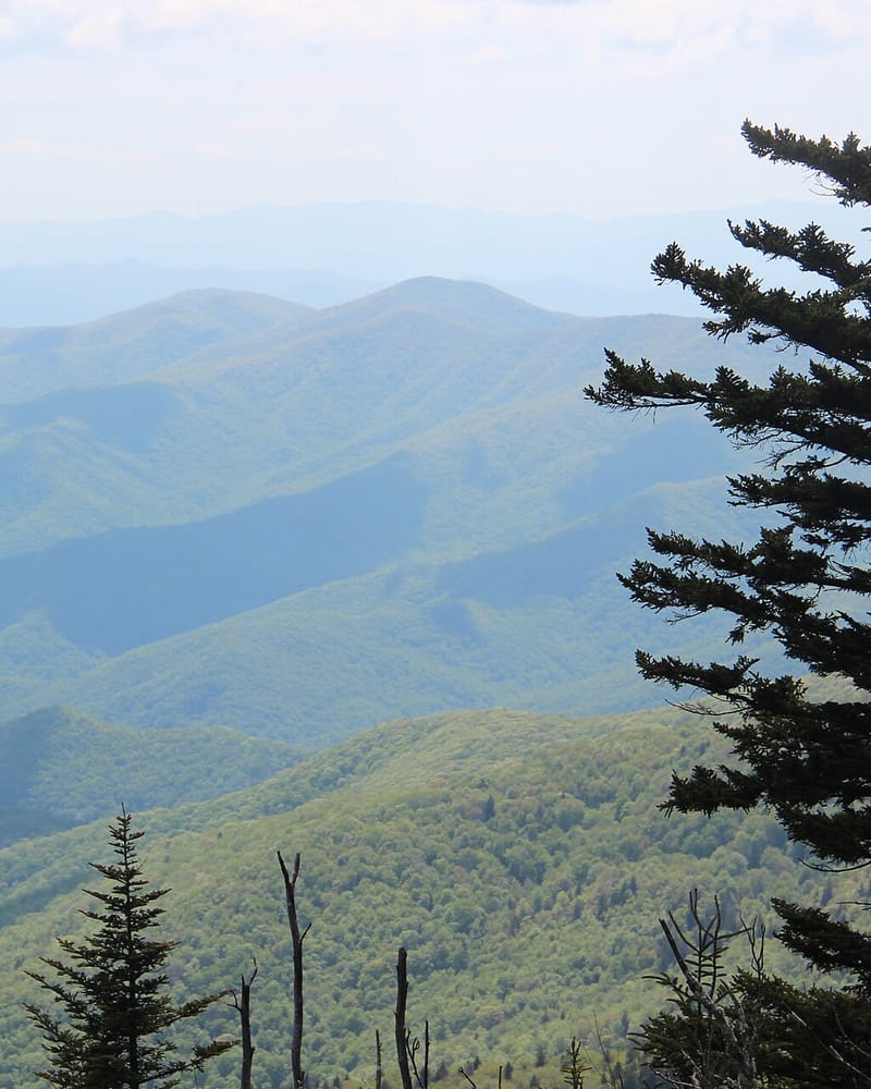 Tennessee: Música y montañas