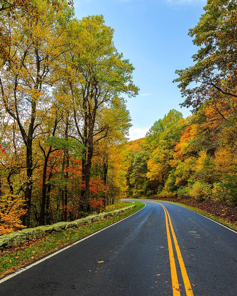 Virginia: Crestas e historia