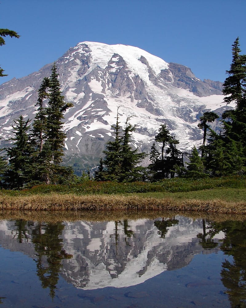 Washington: Selva y volcanes